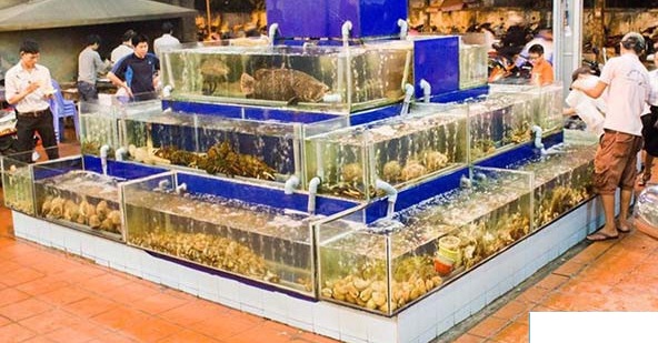 chất lượng của hồ cá hải sản